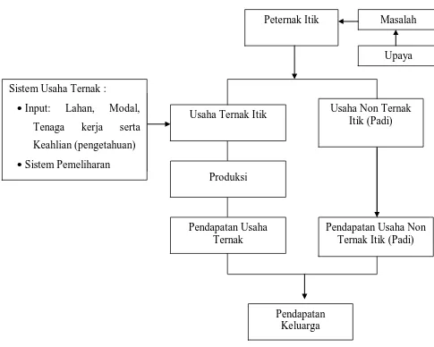 Gambar 1 . Skema kerangka pemikiran sistem usaha ternak itik dan 