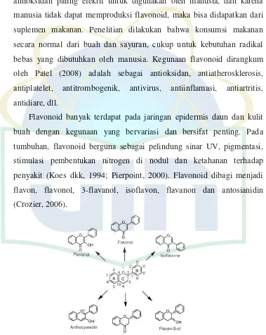 Gambar 2. Stuktur utama flavonoid (Crozier, 2006) 