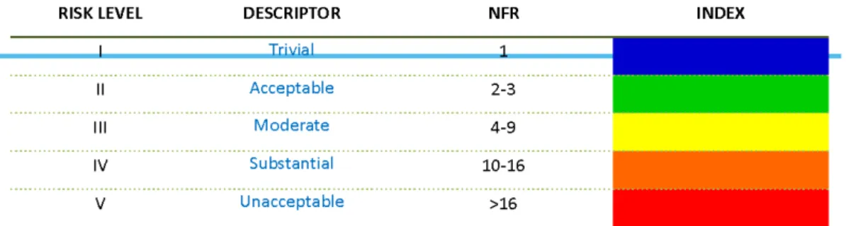 Figure 2. 3 Risk Level Description