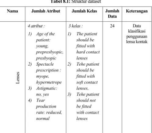 Tabel 8.1: Struktur dataset 