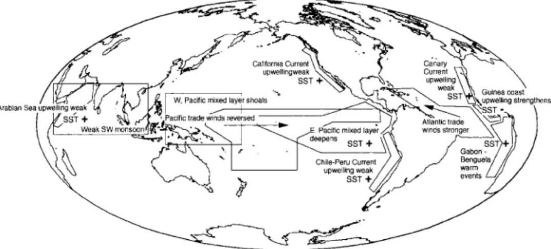 Fig. 8.2 Responses at low latitudes to a canonical Niño event, from various sources. Note that these events vary significantly and not all the responses indicated will occur during every event, or even simultaneously.