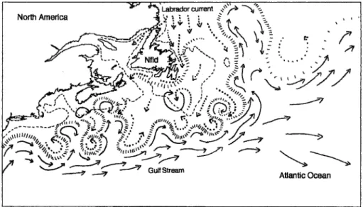 Fig. 9.7 The conjunction between cold (dotted arrows) Labrador Current water with the warm (solid arrows) Gulf Stream