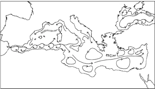 Fig. 9.11 Cartoon of the general circulation of the Mediterranean and Black Seas to illustrate the dominance of coast form on the location of both persistent and intermittent eddies and fronts