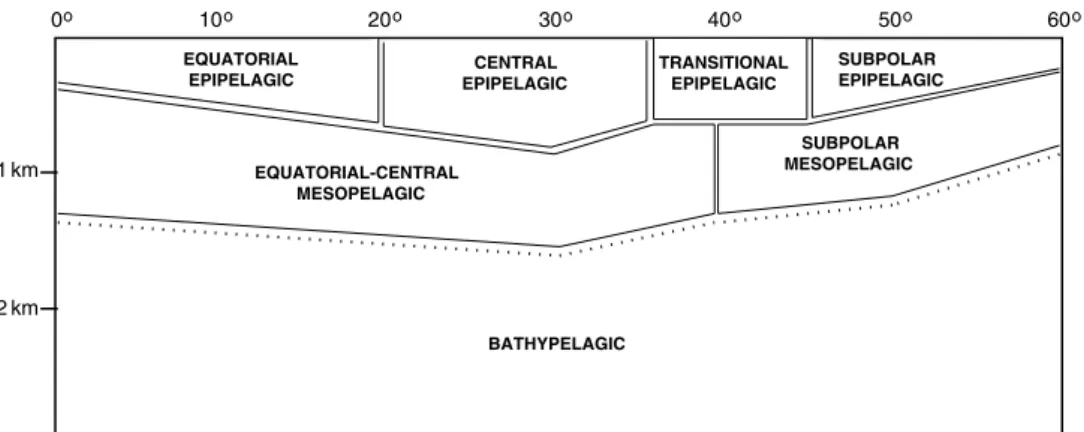 Fig. 2.1 The distribution of groups of pelagic species, with latitudinal and depth along a meridional section in an idealized ocean.