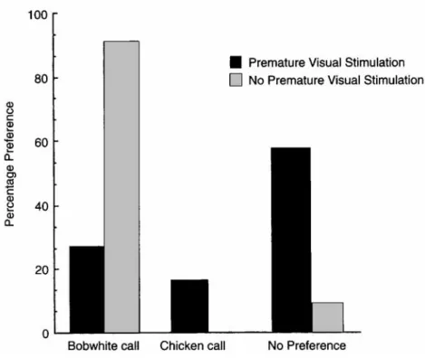 Figure  6.3.  Percentage of  bobwhite  quail  chicks  that  approached  the  bobwhite  maternal call, the chicken maternal call, or  showed no preference as a function of  whether they received premature visual stimulation