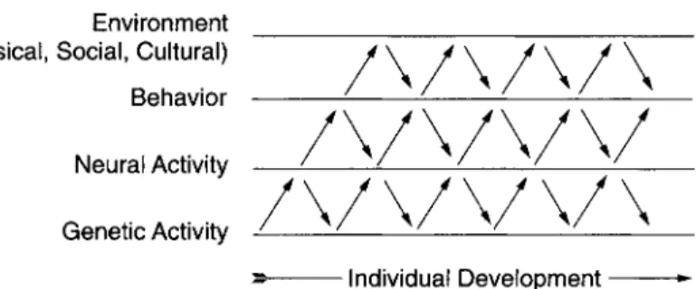 Figure  2.2.  A simplified schematic  of  the developmental systems approach, showing  a hierarchy  of  four mutually interacting components