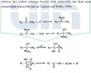Gambar 2.4 Mekanisme reaksi hidrolisis pada ester