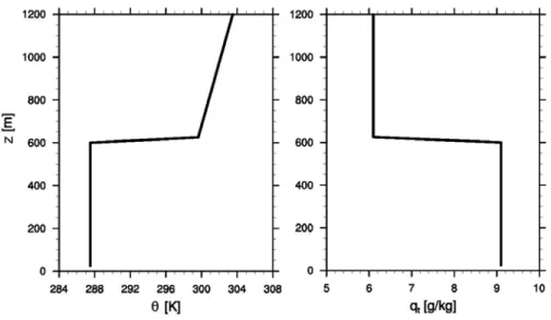 Figure 2.1  Initial sounding profile (potential temperature  𝜃  and total water mixing ratio  q t  ) for the MSc of Control case