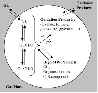 Figure 2.1: Processes contributing to GL uptake on AS seed aerosol. GL=GL monomer;