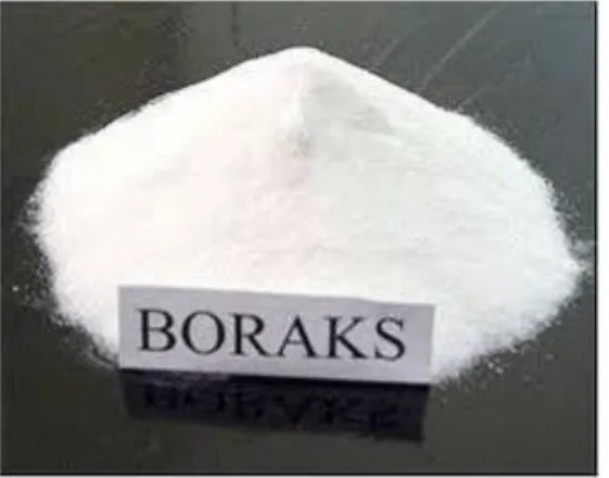Gambar 2.3 Boraks (Sumber : http://google.co.id)  Karakteristik boraks antara lain (Riandini, 2008):  