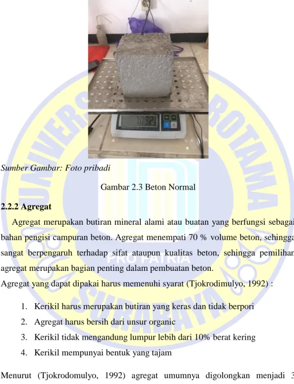 Gambar 2.3 Beton Normal  2.2.2 Agregat 