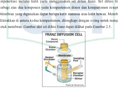 Gambar 2.5 Kompartemen sel difusi franz[Sumber : Particle Science Drug Development Service Vol