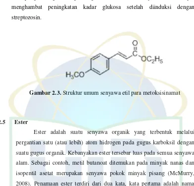 Gambar 2.4. Struktur umum senyawa ester 
