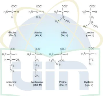 Gambar 2.9. Hidrofobik, asam amino aromatik 