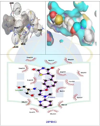 Gambar 4.2 .Visualisasi interaksi rosiglitazon dengan molekul protein (PPAR�) 