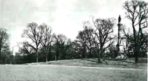 FIG. 6. The Boston Common 