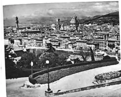 FIG. 34. Florence from the south 