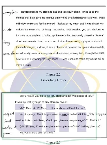 Figure 2.2 Describing Errors 