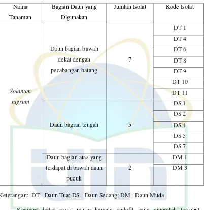 Tabel. 4.1. Daftar Isolat Kapang Endofit Daun Tanaman Solanum nigrum 