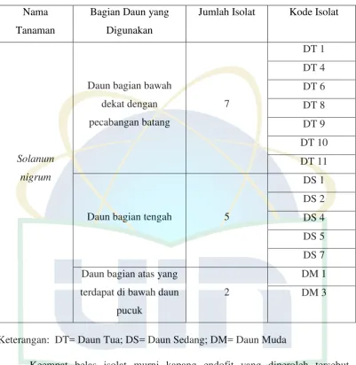 Tabel. 4.1. Daftar Isolat Kapang Endofit Daun Tanaman Solanum nigrum 