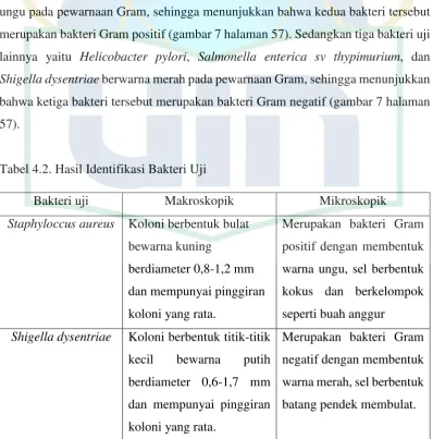 Tabel 4.2. Hasil Identifikasi Bakteri Uji 