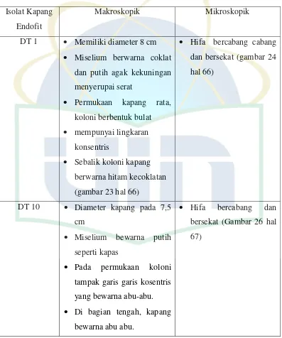 Tabel 4.6. Hasil Karakterisasi Kapang Endofit yang Memiliki Aktivitas Antibakteri 