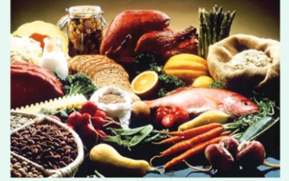 Ilustrasi makanan sehat (sumber : wikipedia.org)