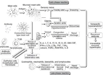 Gambar 2.1 Fase awal dan akhir patofisiologi rinitis alergi (Okubo et al., 