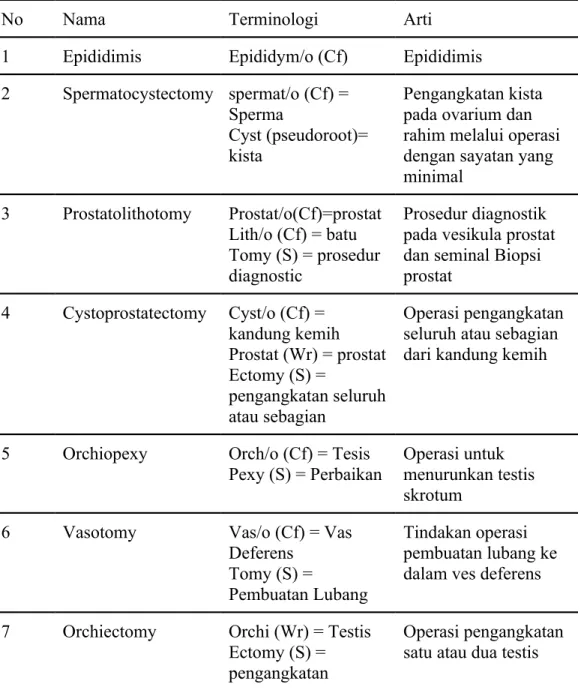 Tabel 2. 3 Terminologi medis reproduksi pria