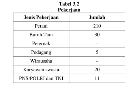 Tabel 3.2  Pekerjaan 