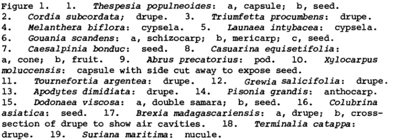 Figure  1.  1.  T h e s p e s i a   p o p u l n e o i d e s :   a ,   capsule;  b ,   seed
