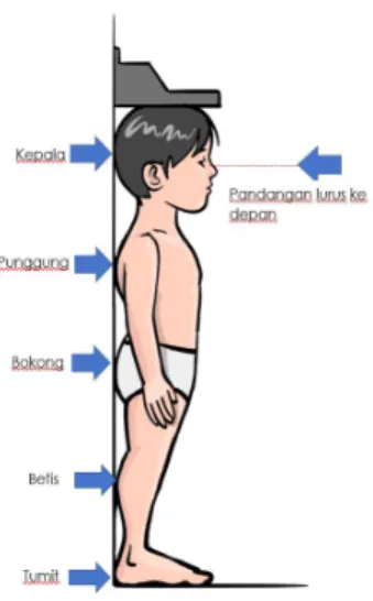 Gambar  6.  Cara  Mengukur  TB  Anak