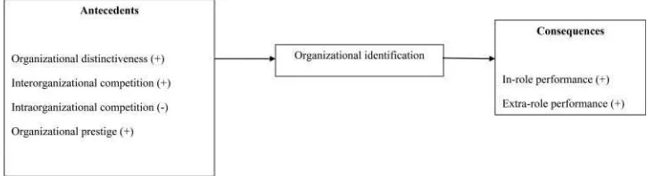FIGURE 1.Proposed model of organizational identiﬁcation.