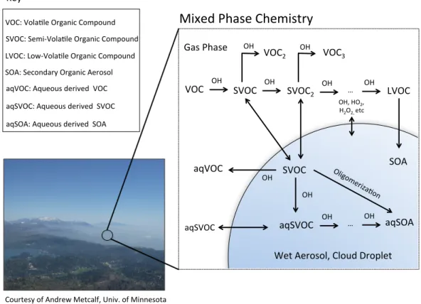 Figure 1.1: Overview of select processes leading to the formation and consumption of secondary organic aerosol (SOA).