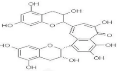 Gambar 2.1 Struktur polifenol (Harbone, 1987) 