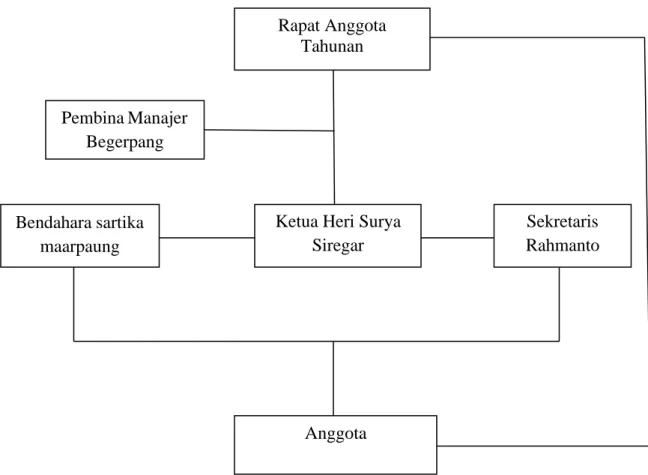 Gambar 2. Struktur Organisasi Koperasi Perkasa Unit Begerpang Estate Anggota 