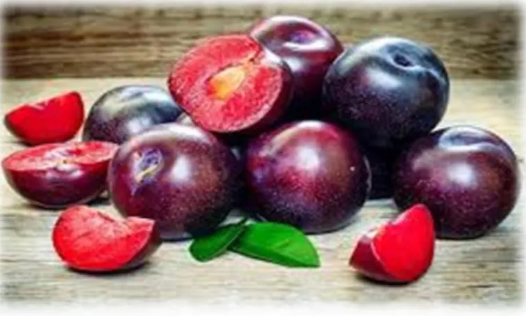 Gambar 1. Buah plum  Pemasaran  