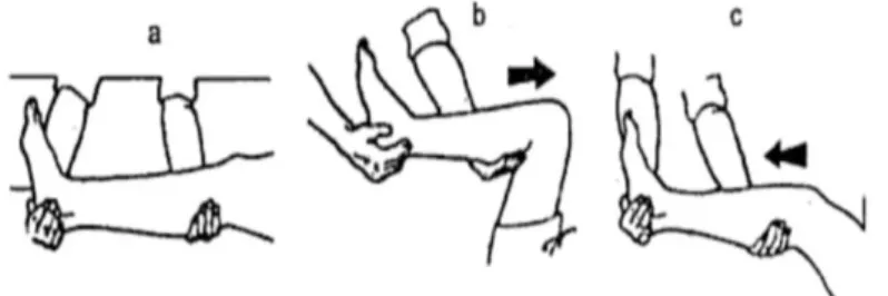 Gambar 2 5 Gerakan Lutut (Surratun et al., 2008). 