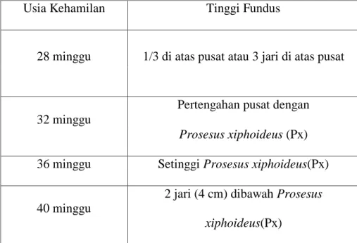 Tabel 2.4 Ukuran TFU 