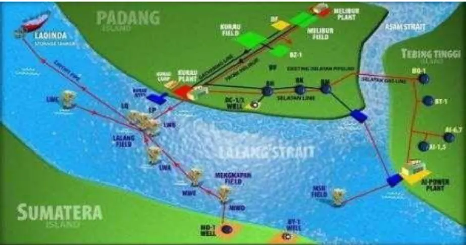 Gambar 1.6 Peta area lapangan produksi PT. IMBANG  TATA ALAM 