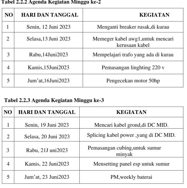 Tabel 2.2.3 Agenda Kegiatan Minggu ke-3 