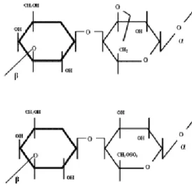 Gambar 1 Struktur kimia agar-agar 