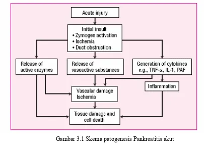 Gambar 3.1 Skema patogenesis Pankreatitis akut 