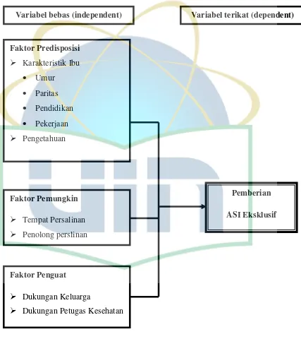 Gambar 3.1 Kerangka Konsep 