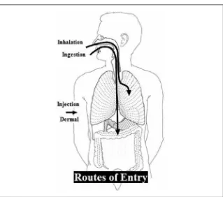 Figure 6-3. Routes of entry for toxic substances.