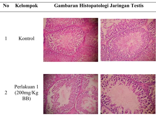 Tabel 7 Gambaran Histopatologi Jaringan Testis