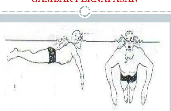 GAMBAR PERNAFASAN