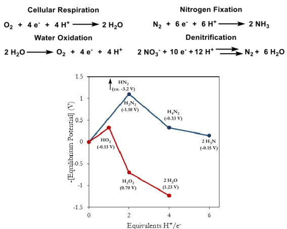 Figure 1. Equilibrium standard potentials of forms of oxygen (red) and nitrogen (blue)