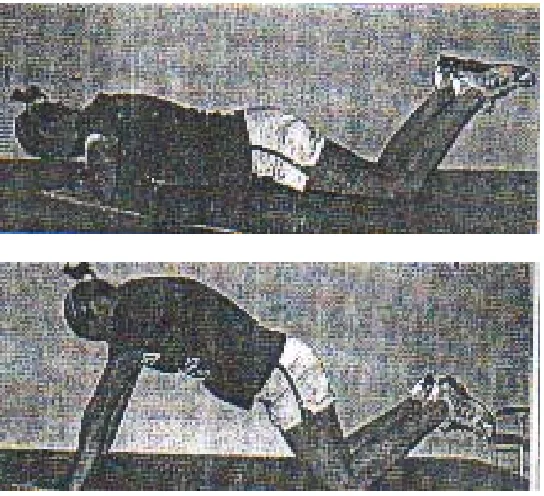 Gambar 3 Push-up         (James N. Johnson, 2003) 