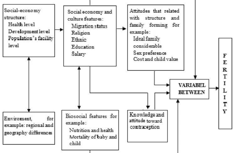 Figure 1: Simple Basic Framework for Fertility Analysis   by Freedman (1975, in Mantra, 2003:169) 